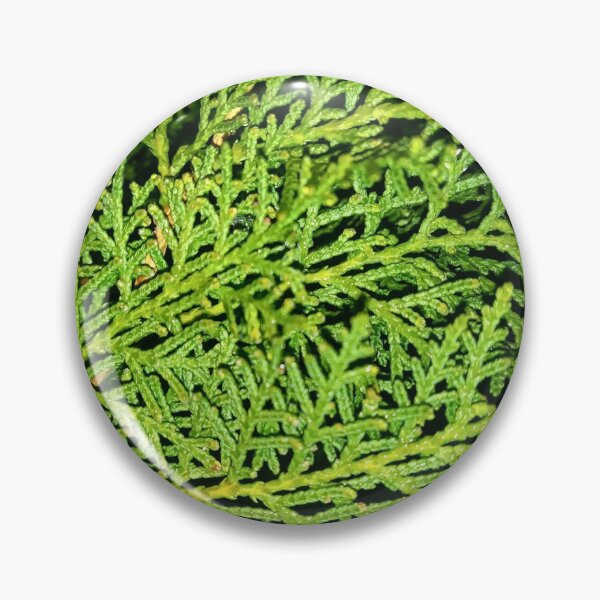 Item preview, Verde designed and sold by MMDaisyArts.