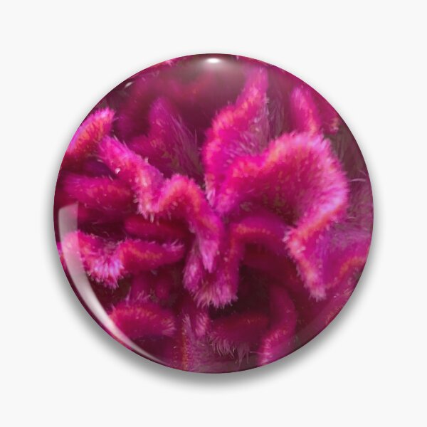 Item preview, Flowering cocks comb designed and sold by ZeroMostel.