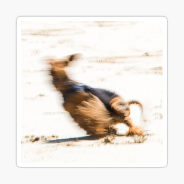 Blurry Airedale Terrier - Action Shot Sticker