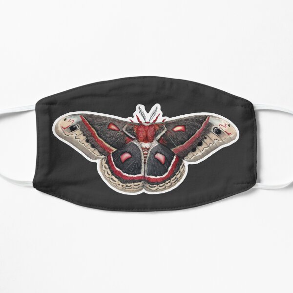Cecropia Silkmoth Mask