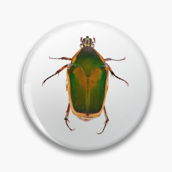 Item preview, Green June Beetle designed and sold by Tim Christensen.
