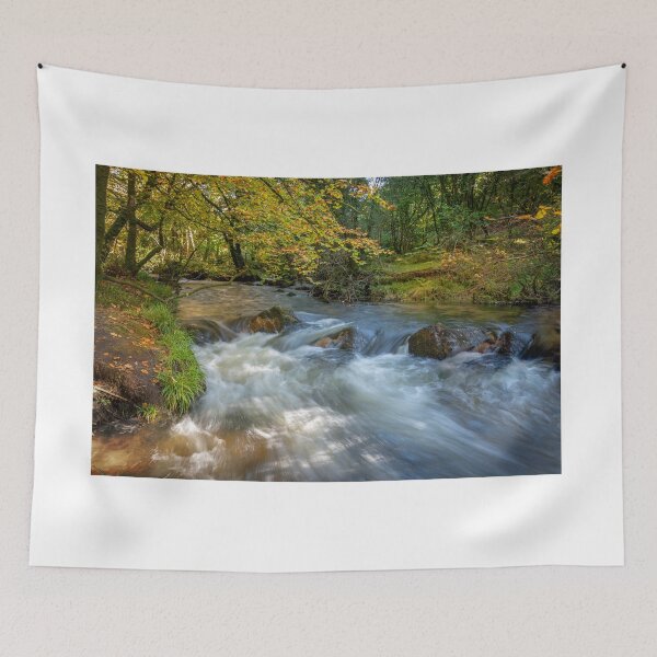 Item preview, golitha waterfalls cornwall  designed and sold by eddiej.