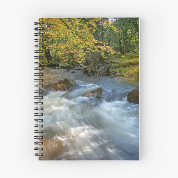 Item preview, golitha waterfalls cornwall  designed and sold by eddiej.