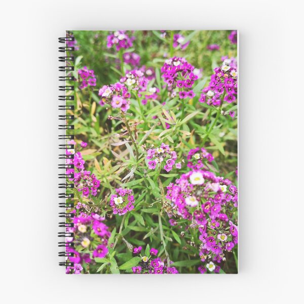 Item preview, Sweet alyssum flowers designed and sold by StefanDesign.