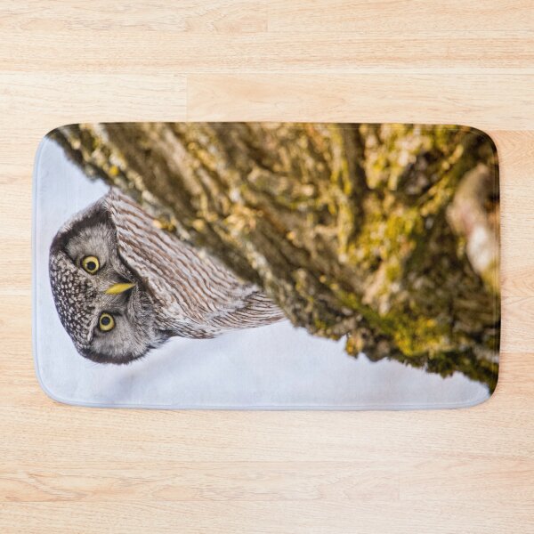 Item preview, Northern Hawk Owl designed and sold by Owl-Images.