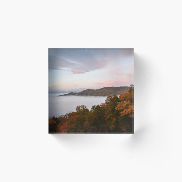 Aperçu de l'œuvre Brouillard d'automne créée et vendue par Robin-Goldman.