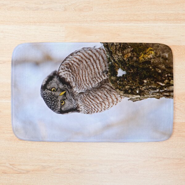 Item preview, Northern Hawk Owl designed and sold by Owl-Images.