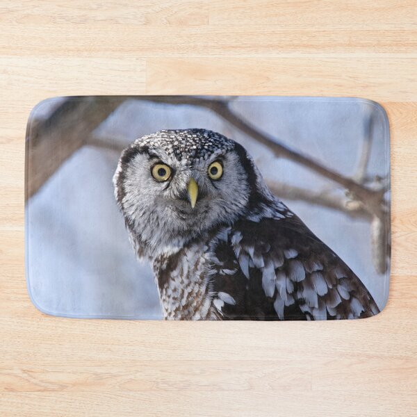 Item preview, Northern Hawk Owl designed and sold by Owl-Images.