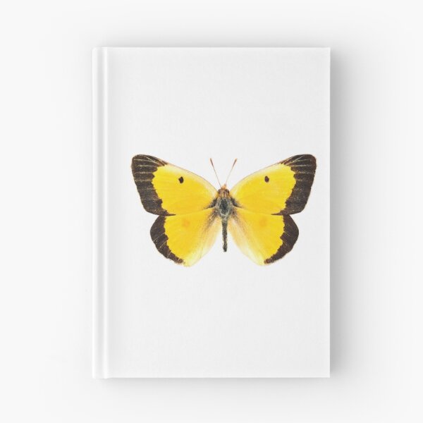 Item preview, Orange Sulfur Butterfly designed and sold by Tim Christensen.