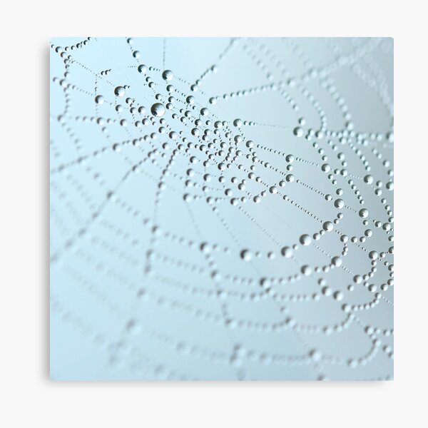 Dew Drops on Spiderweb - Light Blue Macro Photography Metal Print