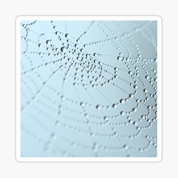Dew Drops on Spiderweb - Light Blue Macro Photography Sticker