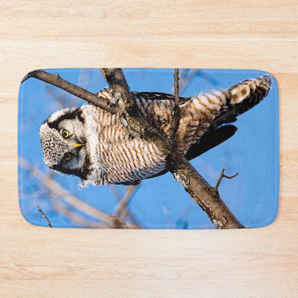 Item preview, Northern Hawk Owl designed and sold by Owl-Images.