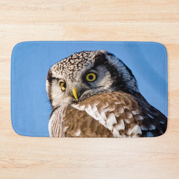 Item preview, Northern Hawk Owl designed and sold by Owl-Images.