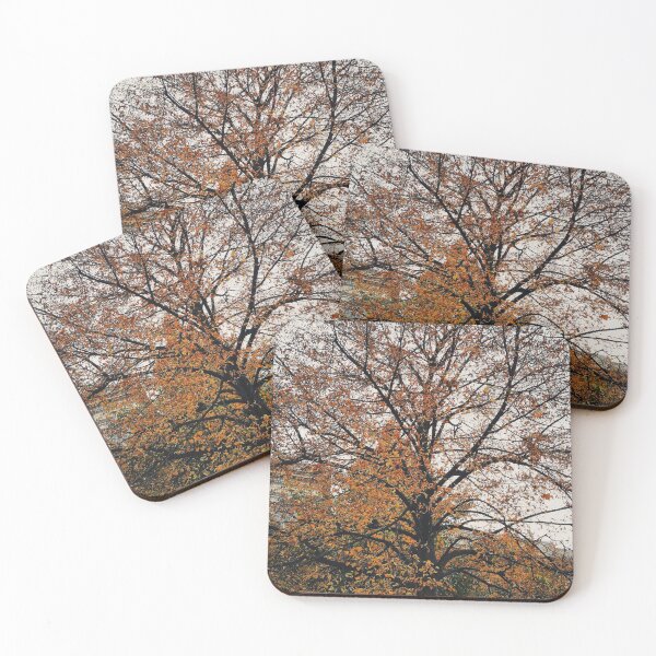 Item preview, Autumn Tree Fall Mood Photography designed and sold by A. P..