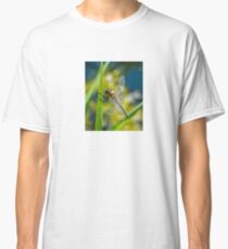 Dragonfly resting Classic T-Shirt