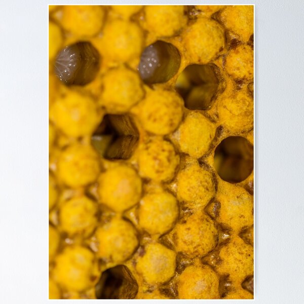 Item preview, Bee nursery designed and sold by Mark Bangert.