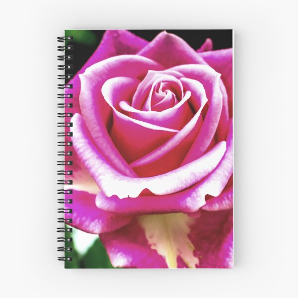 Item preview, Pink and white Rose designed and sold by TorieWear.