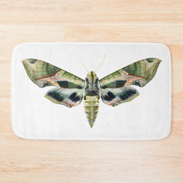 Item preview, Pandorus Sphinx Moth designed and sold by Tim Christensen.