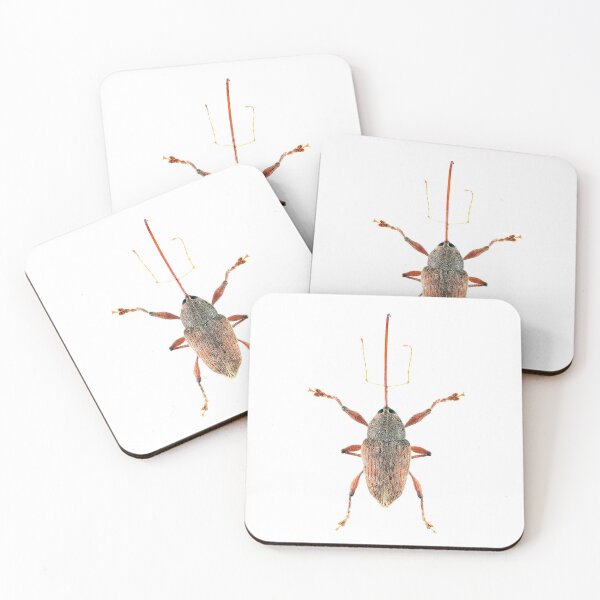 Item preview, Acorn Weevil designed and sold by Tim Christensen.