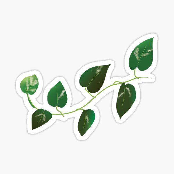 Item preview, Golden pothos vine illustration designed and sold by andra-grace.