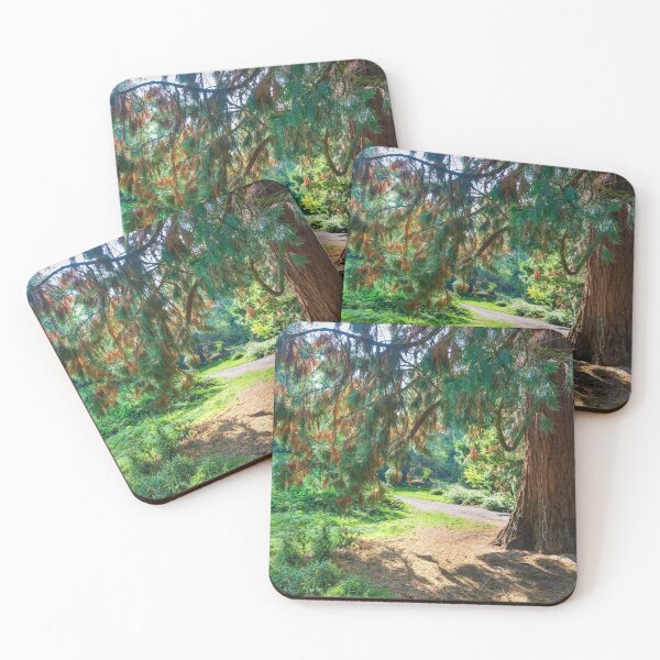 Item preview, Woodland Autumn Colours designed and sold by StephenRphoto.