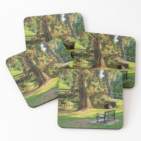 Item preview, Brueton Park Bridge designed and sold by StephenRphoto.