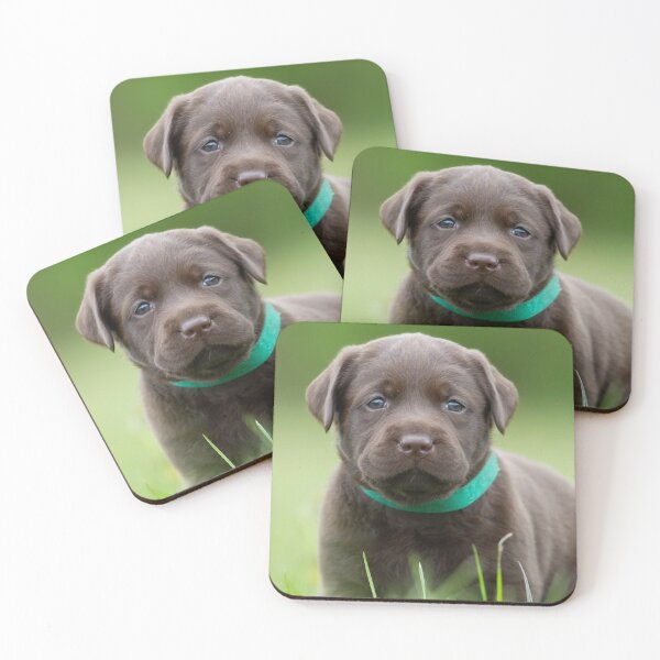 Item preview, Puppy In Tall Grass designed and sold by MuscleCarTs.