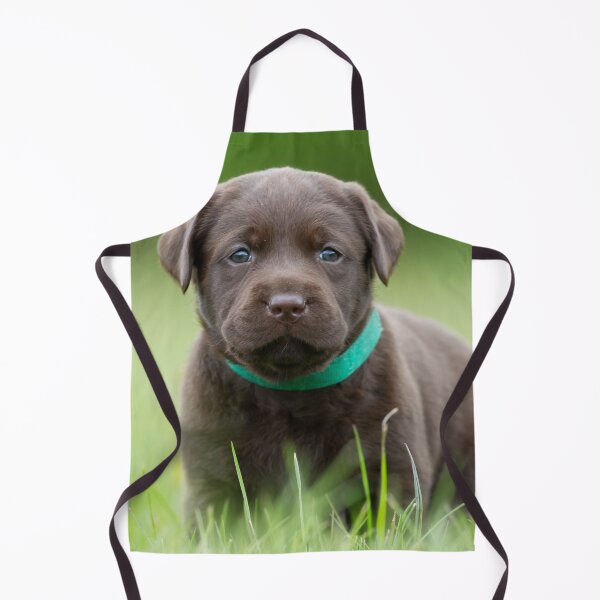 Item preview, Puppy In Tall Grass designed and sold by MuscleCarTs.