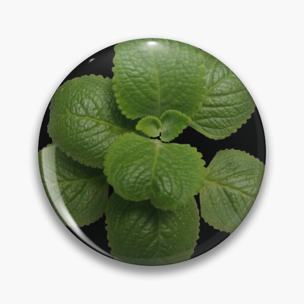 Item preview, Beautiful oregano plant  designed and sold by antonioma.