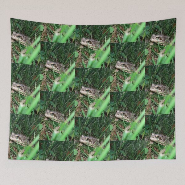 Item preview,  Frog, toad, animal designed and sold by Sternchen2789.