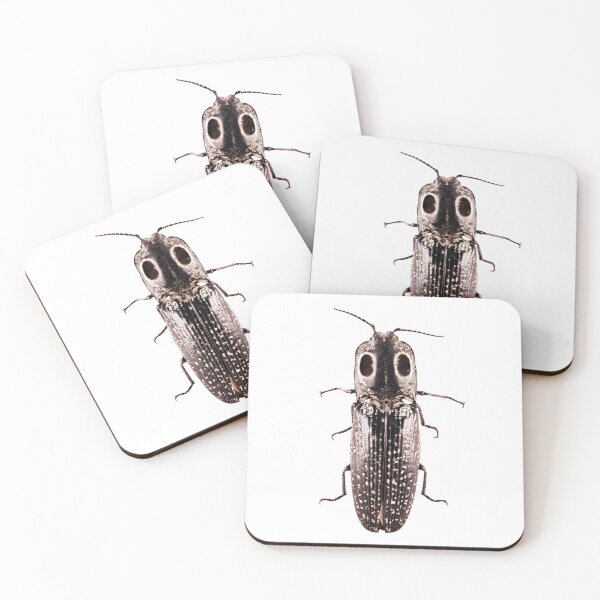 Item preview, Eastern Eyed Click Beetle designed and sold by Tim Christensen.