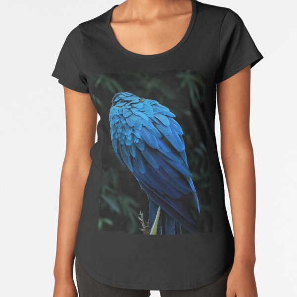 Brasilianischen Vogeln Geschenke Merchandise Redbubble