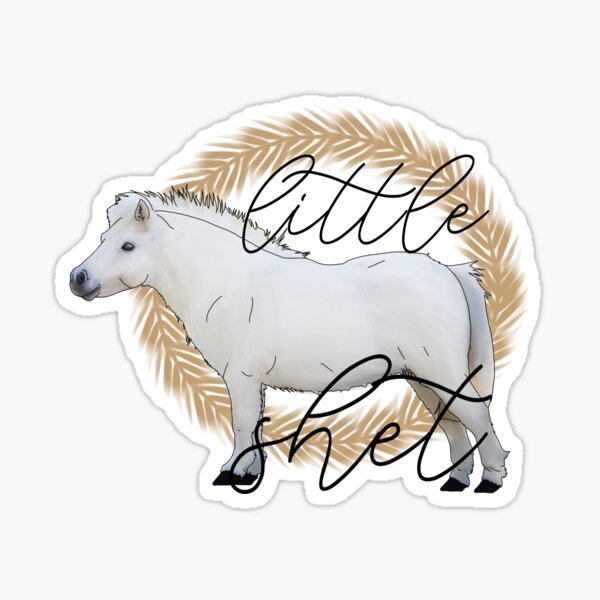 Aperçu de l'œuvre Poney Shetland Petit Shet créée et vendue par ARS Design.