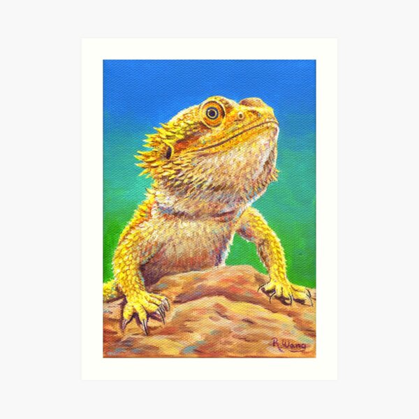 Bearded Dragon Lizard Portrait Art Print