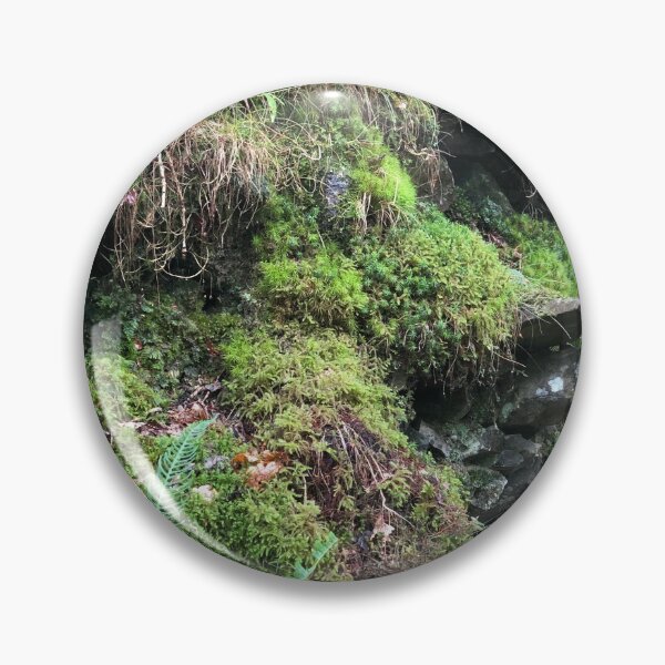 Item preview, Photograph of moss growing on rocks in the forest designed and sold by Atty123.