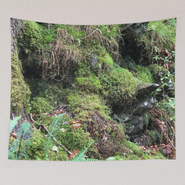 Item preview, Photograph of moss growing on rocks in the forest designed and sold by Atty123.