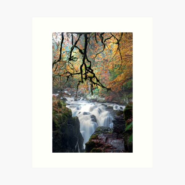 Item preview, The Hermitage Dunkeld designed and sold by Mistyloch969.