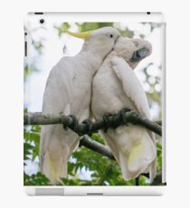 Cocky Love iPad Case/Skin