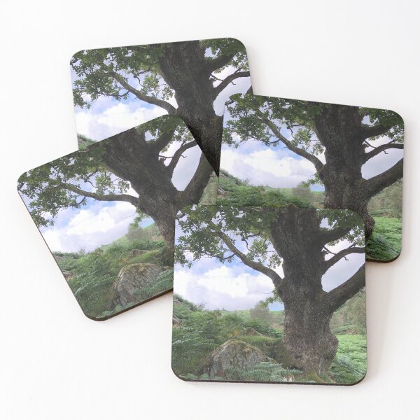 Item preview, Tree surrounded by ferns in the Lake District designed and sold by Atty123.