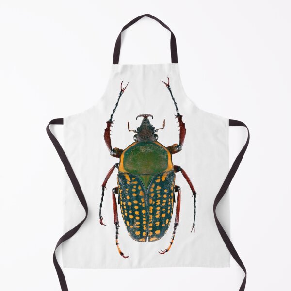 Item preview, Scarab Beetle (Mecynorhina harrisi) designed and sold by Tim Christensen.