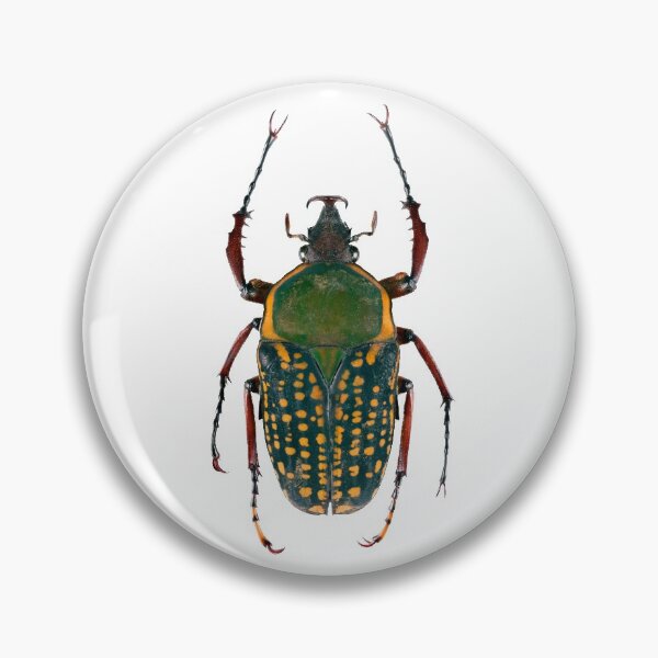 Item preview, Scarab Beetle (Mecynorhina harrisi) designed and sold by Tim Christensen.