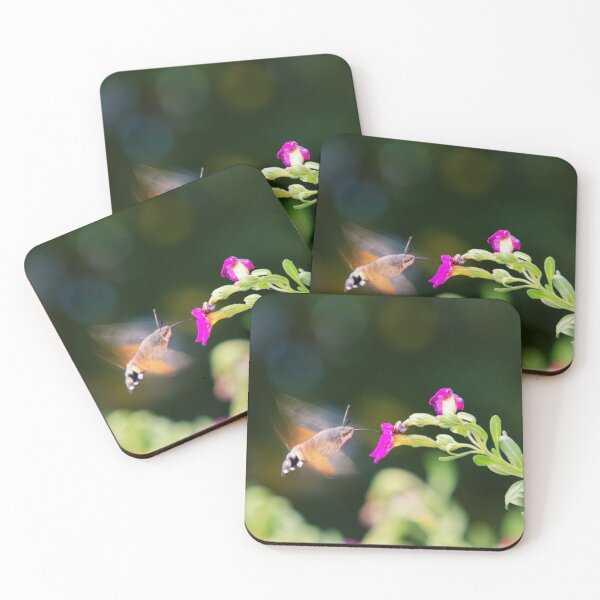 Item preview, Hummingbird Hawk Moth designed and sold by Kasia Design.