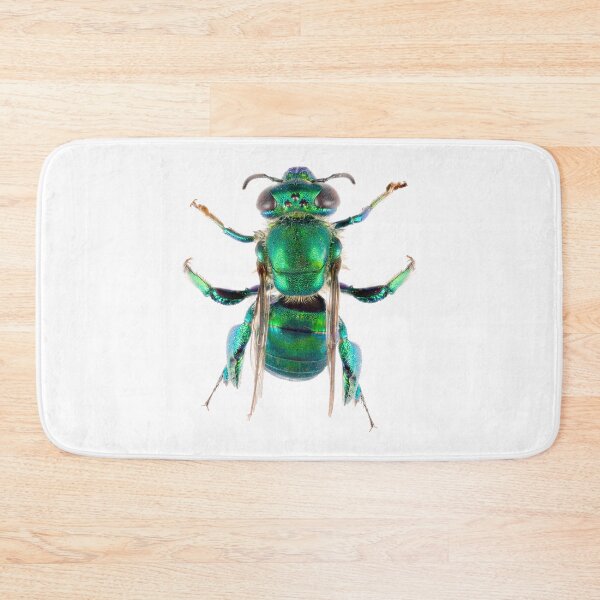 Item preview, Orchid Bee (Euglossini) designed and sold by Tim Christensen.