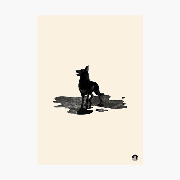Dog Photographic Print