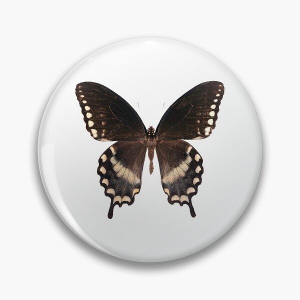 Item preview, Spice Bush Swallowtail butterfly (Papilio troilus) designed and sold by Tim Christensen.