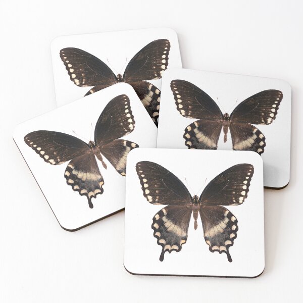 Item preview, Spice Bush Swallowtail butterfly (Papilio troilus) designed and sold by Tim Christensen.