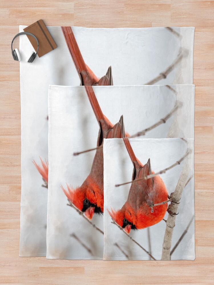 "The Red Cardinal Bird" Throw Blanket for Sale by GiftPicks Redbubble