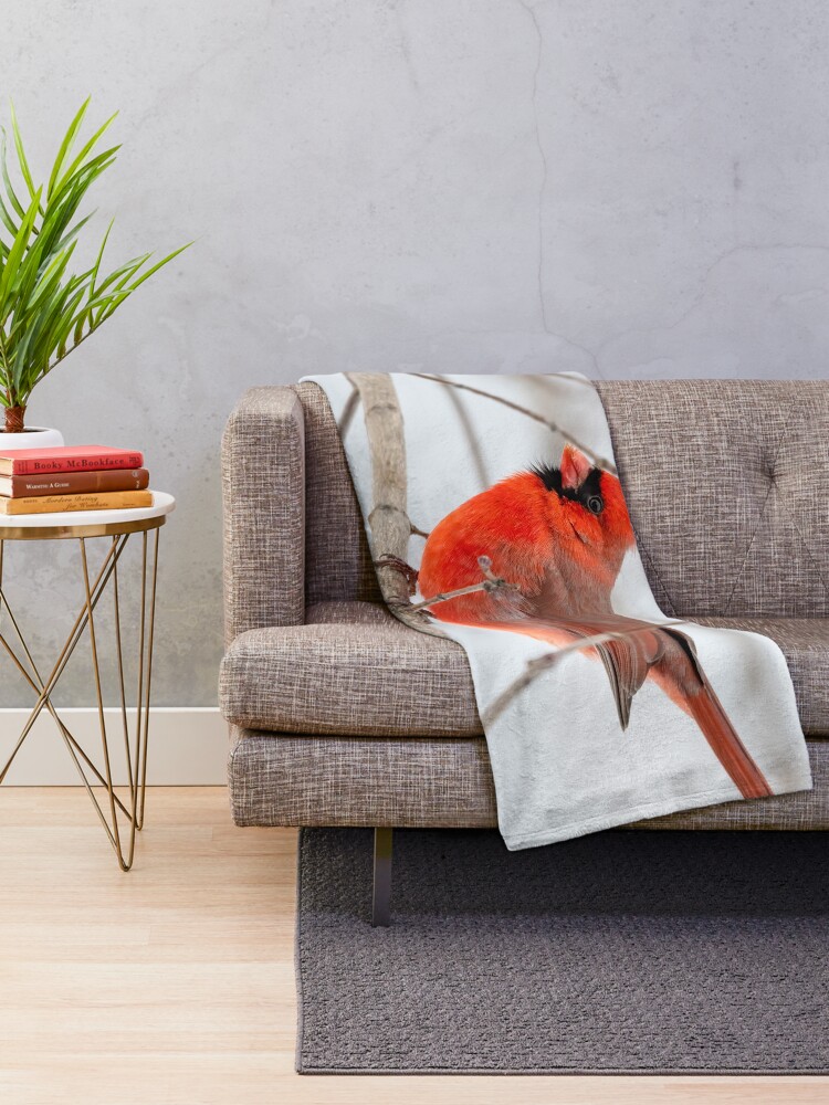 "The Red Cardinal Bird" Throw Blanket for Sale by GiftPicks Redbubble