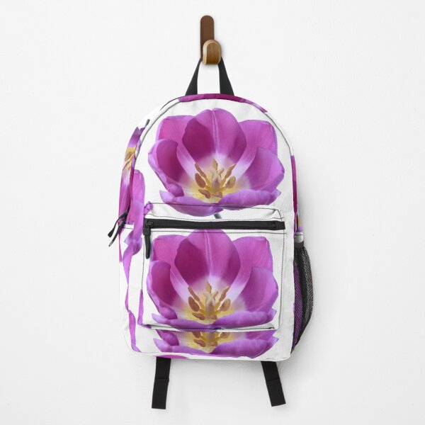 Item preview, Tulipa 'Purple Flag' Triumph Tulip designed and sold by Chris Burrows.
