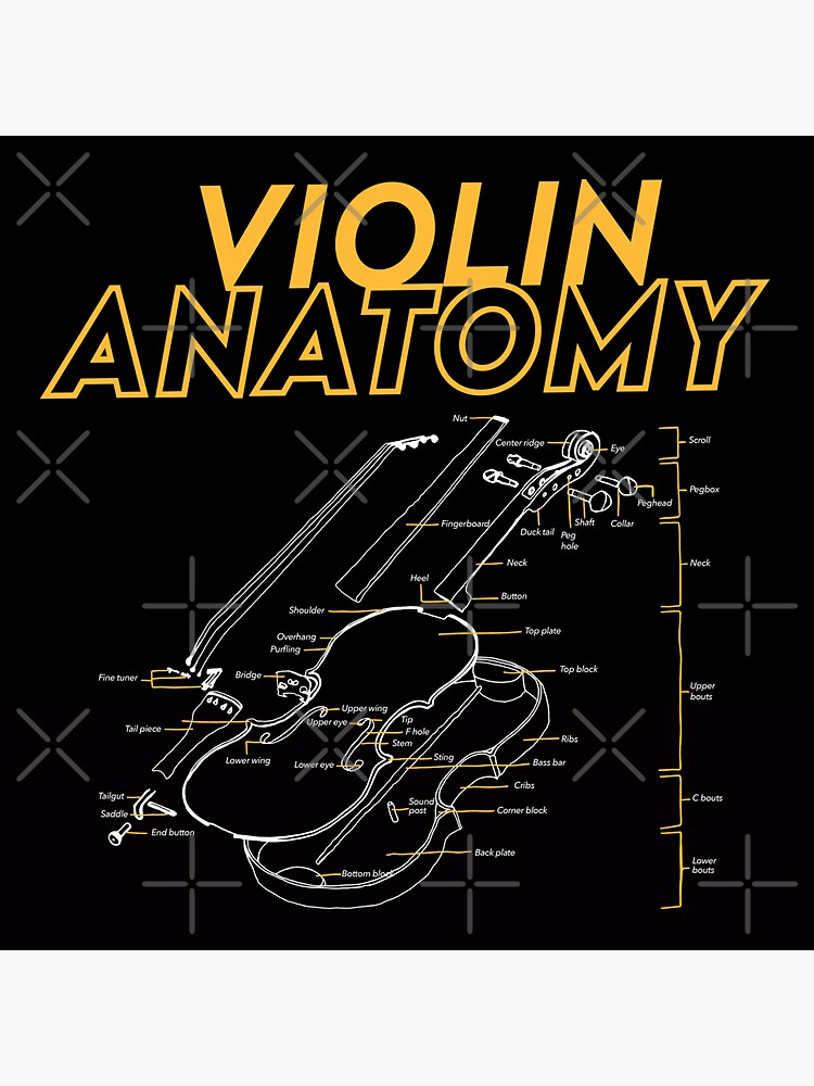 violin anatomy shirt